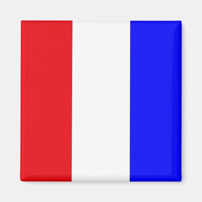 Aimant Drapeau de code de signaux "T" (Tango) (Devant)
