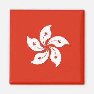 Aimant Drapeau de Hong Kong