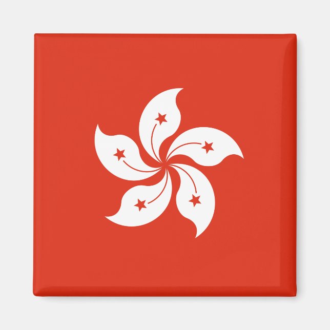 Aimant Drapeau de Hong Kong (Devant)