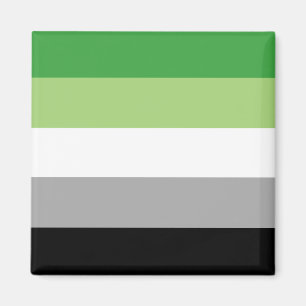 Aimant Drapeau de la fierté aromantique