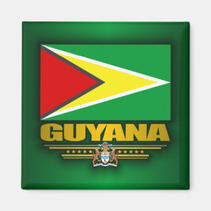 Aimant Drapeau de la Guyane