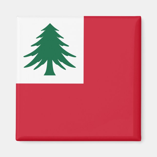 Aimant Drapeau de la Nouvelle-Angleterre (pin seulement)  (Devant)