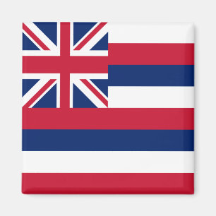 Aimant Drapeau de l'État d'Hawaii