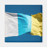 Drapeau des îles Canaries