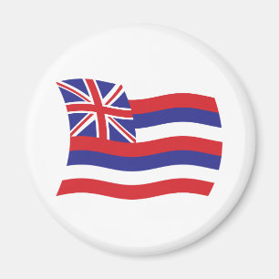 Aimant Drapeau d'Hawaii