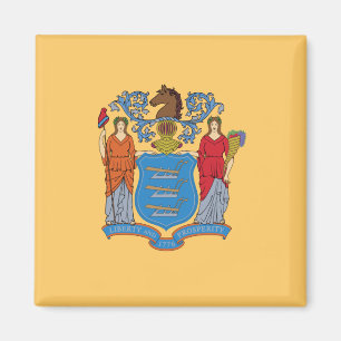 Aimant Drapeau du New Jersey