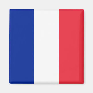 Aimant Drapeau France