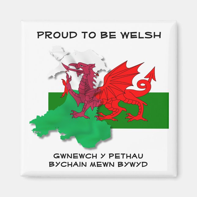 Aimant DRAPEAU gallois DE WALES Dragon rouge Citation St  (Devant)