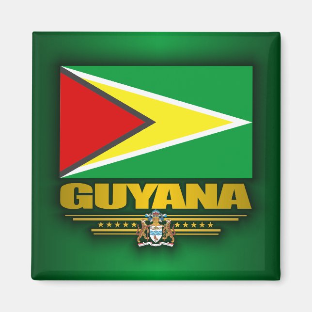 Aimant Drapeau Guyana (Devant)