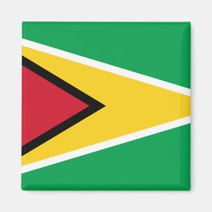 Aimant Drapeau guyanais