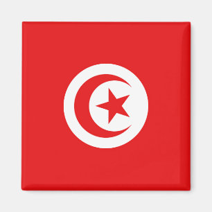 Aimant Drapeau Tunisie