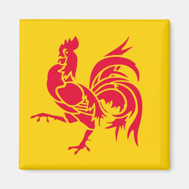 Aimant Drapeau Wallonie Belgique région province français (Devant)