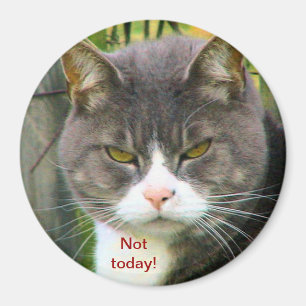 Aimant Drôle CHAT EN COLÈRE : "PAS AUJOURD'HUI !"