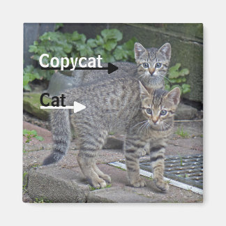 Aimant Drôle Chat et Copycat Photographie