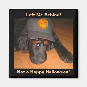 Aimant Drôle Chien Laissé Derrière Cette Halloween