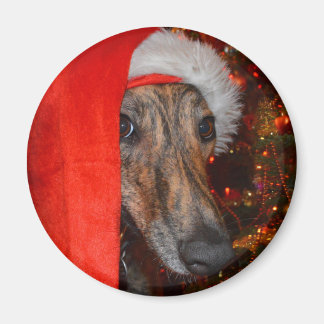 Aimant Drôle Chien Père Noël - Lurcher Greyhound Casquett