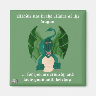 Aimant drôle de dragon