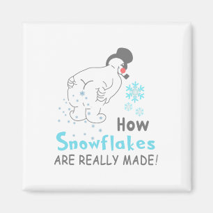 Aimant Drôle de neige Comment les flocons de neige sont v