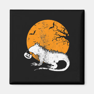 Aimant Drôle Iguana Citrouille Costume Halloween Hommes F