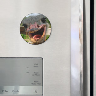 Aimant Drôle Ostrich Bird Photo What's Up