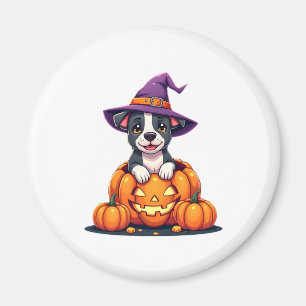 Aimant Drôle Pitbull sorcier Citrouille chien Halloween H