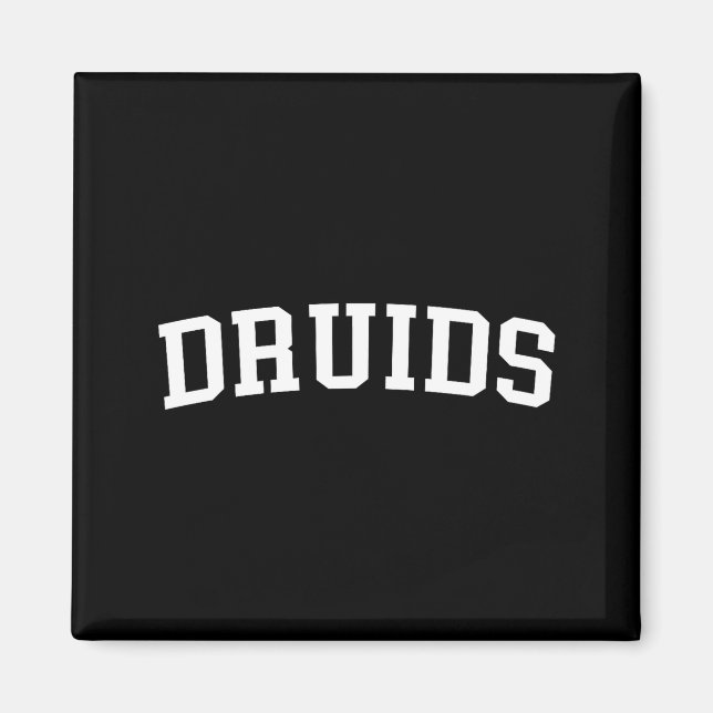 Aimant Druides  (Devant)