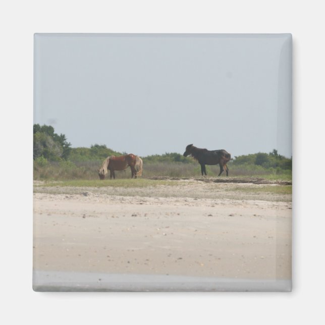 Aimant du Cheval sauvage (Devant)