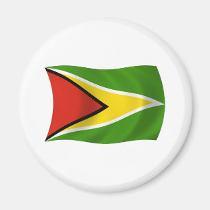 Aimant du drapeau de la Guyane