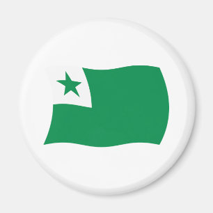 Aimant du drapeau de l'espéranto