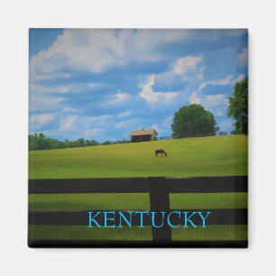 Aimant du Kentucky