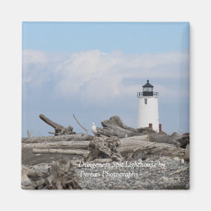 Aimant du phare de la crache de Dungeness