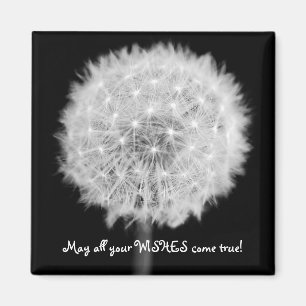 Aimant du réfrigérateur Dandelion