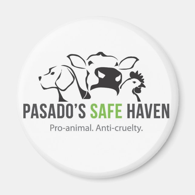 Aimant du sanctuaire (Devant)