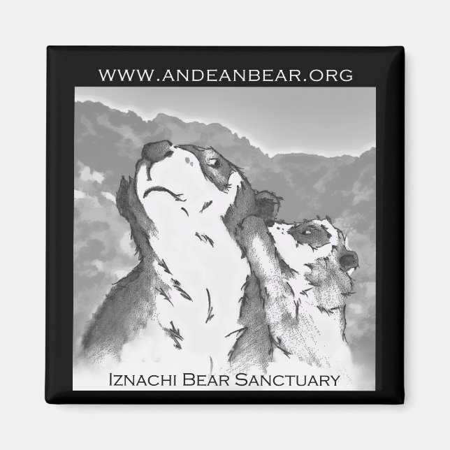 Aimant du sanctuaire d'ours Iznachi (Devant)