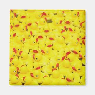 Aimant Duckies