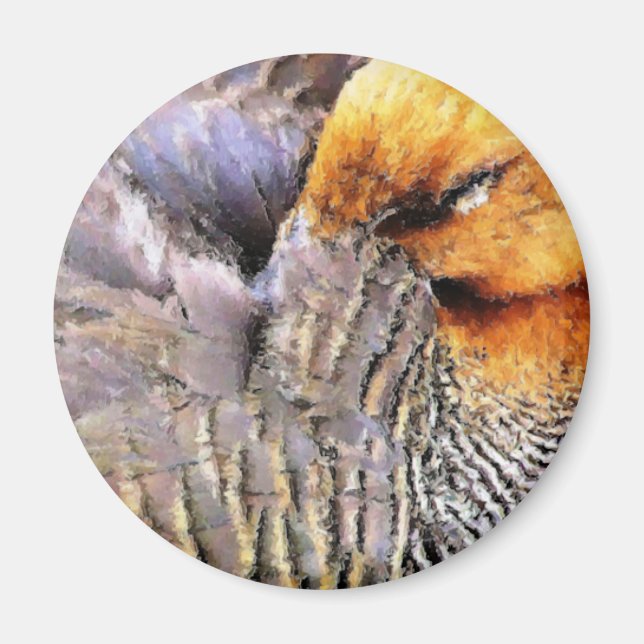 AIMANT DUCKS (Devant)