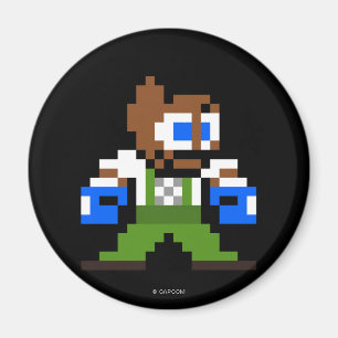 Aimant Dudley à 8 bits