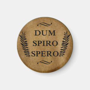 Aimant dum spiro spero