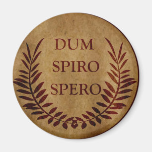 Aimant dum spiro spero, expression latine