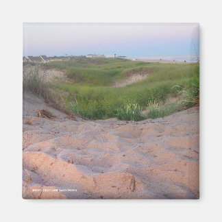 Aimant Dunes à Montauk