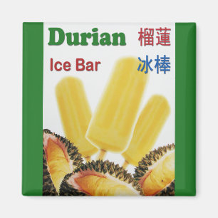 Aimant Durian Ice Bar Tropical Fruit Popsicle