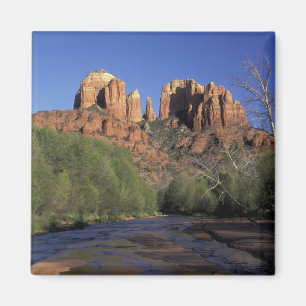 Aimant É.-U., Arizona, Sedona. Cathedral Rock et chêne