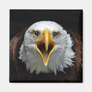 AIMANT EAGLE