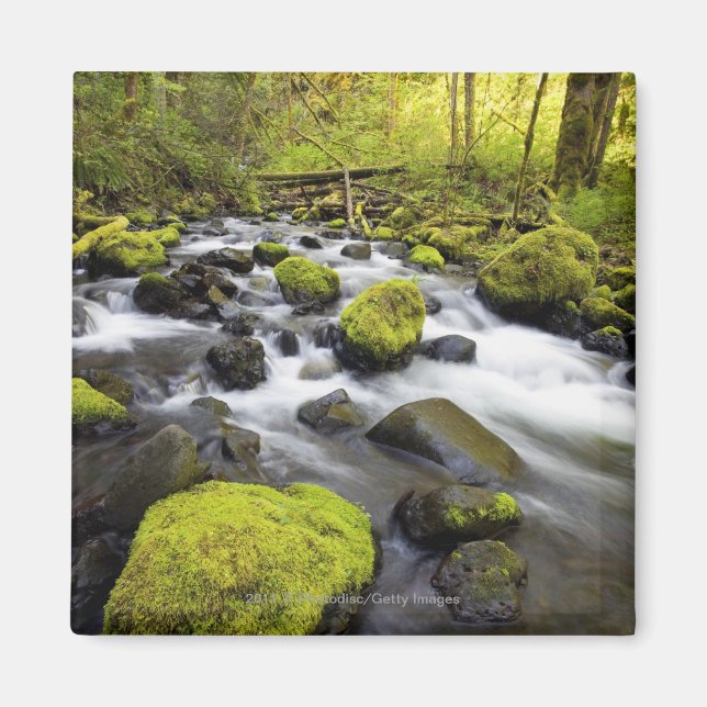 Aimant Eau Fluant Par La Mousse Couvert Les Roches Dans U (Devant)