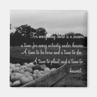 Aimant Ecclésiaste 3:2