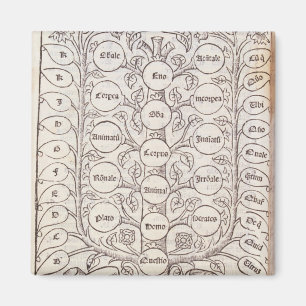 Aimant Échelle céleste