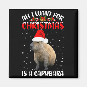 Aimant Éclairage de Noël Santa Tout ce que je veux pour N