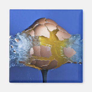 Aimant Éclaircissant