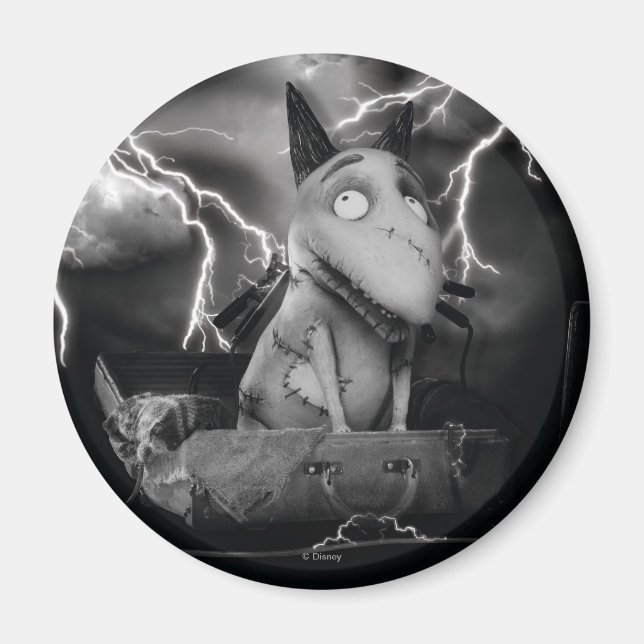 Aimant Éclairé (Devant)