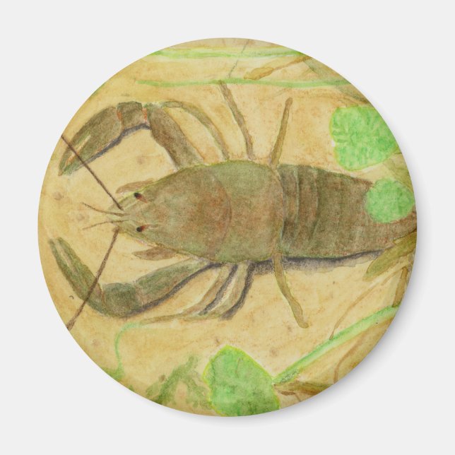 Aimant Écrepoisson (Devant)